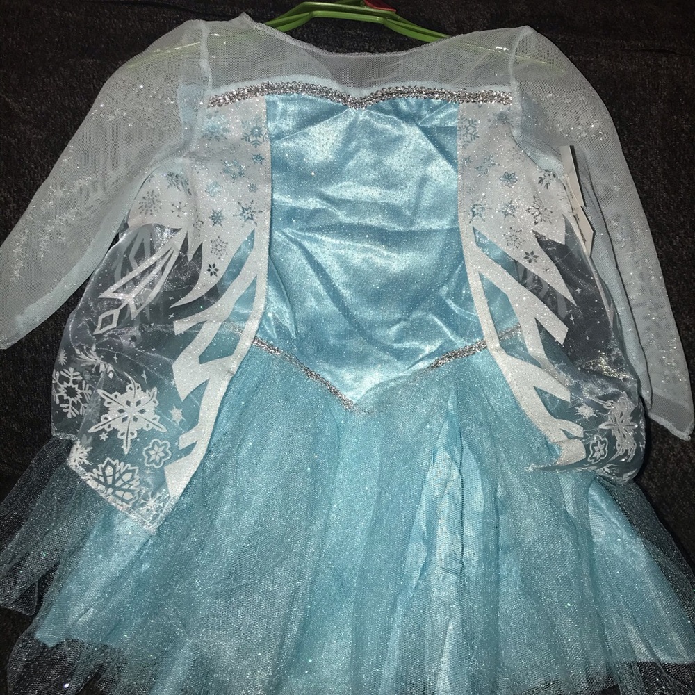 Elsa Costume